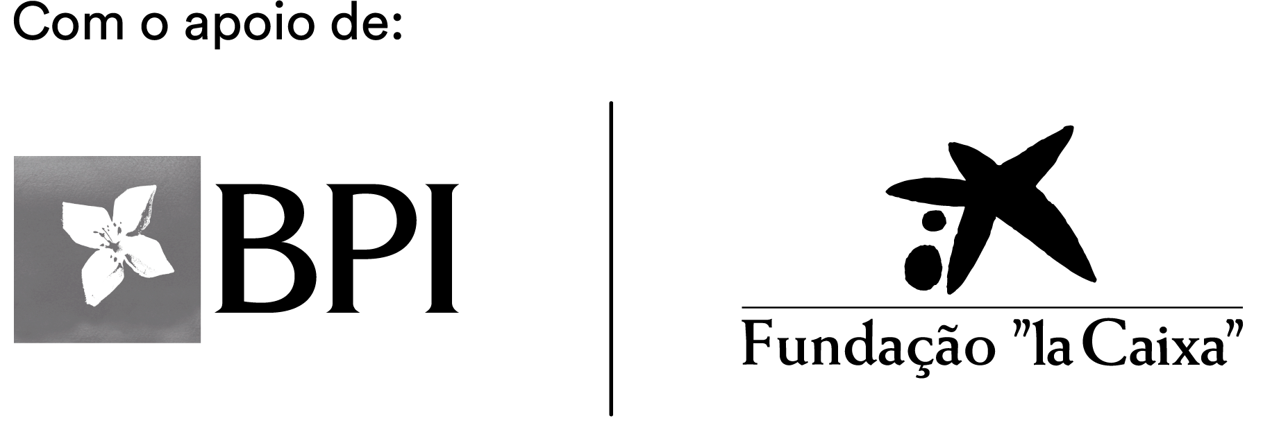 Logo do parceiro