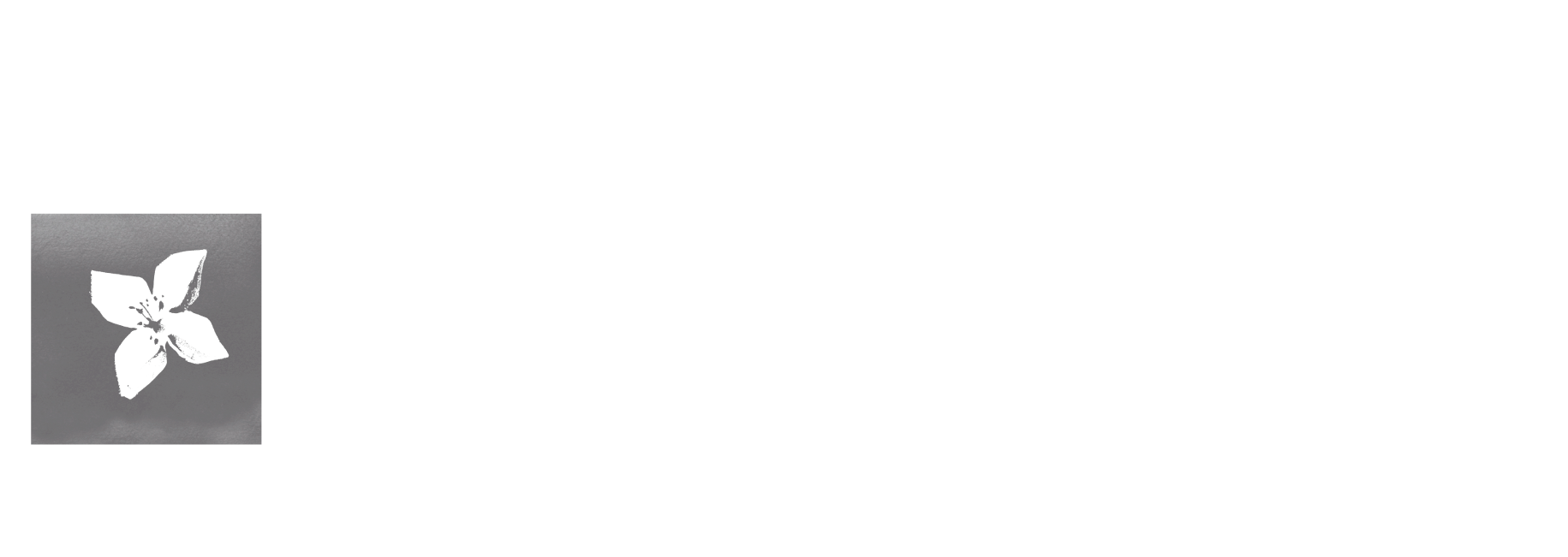 BPI La Caixa Logo