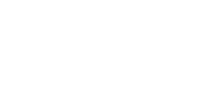 A2 Logo